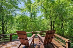 Moss's Muse: A Modern Retreat